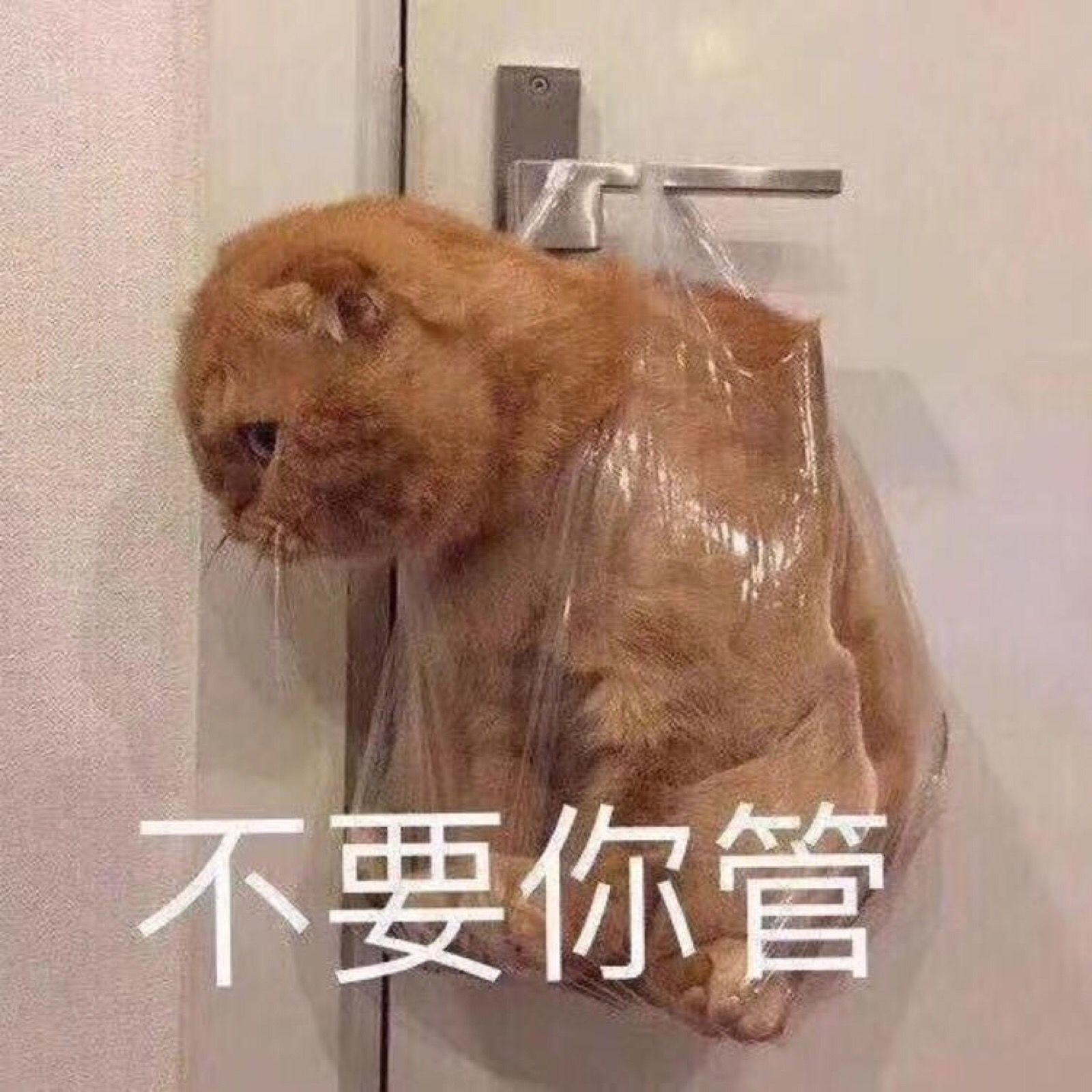 睡醒了要抱抱