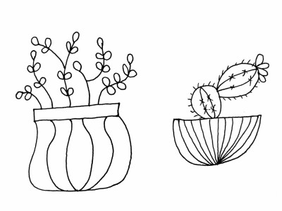 植物小盆栽绘画
