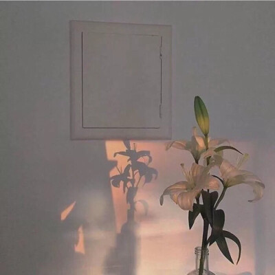 朋友圈背景墙高冷