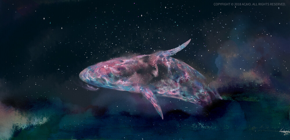 水粉鲸鱼星空图片