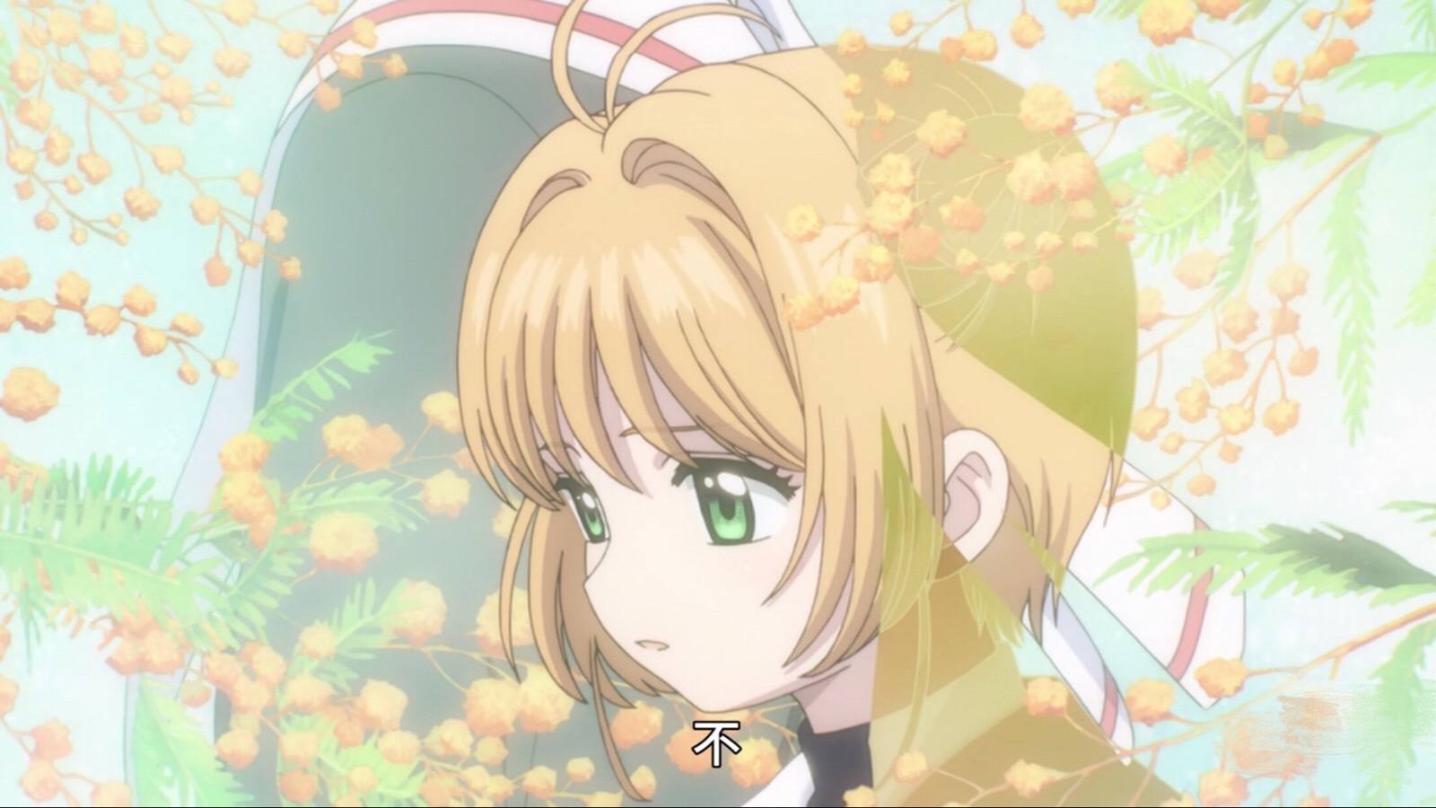 小樱- 堆糖,美图壁纸兴趣社区