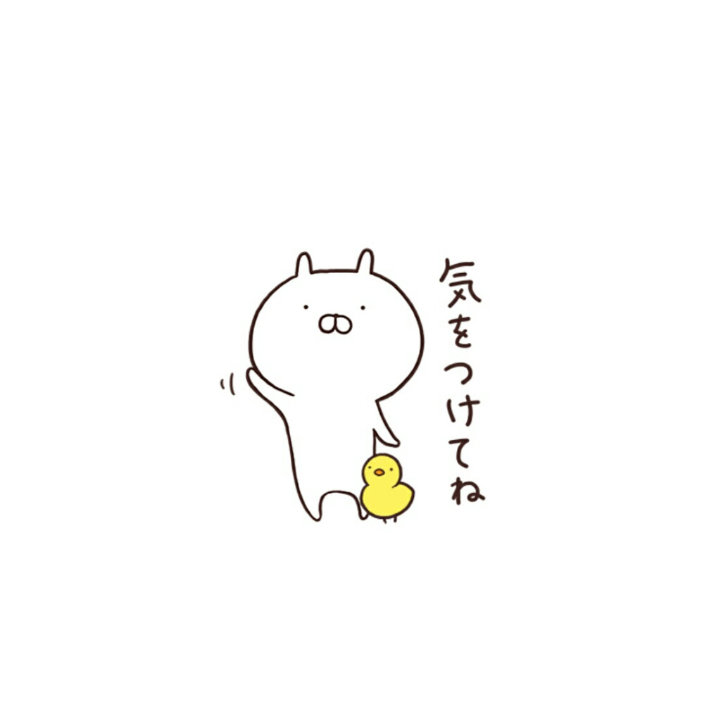 兔丸更新