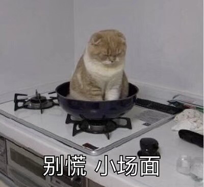 小可爱表情包