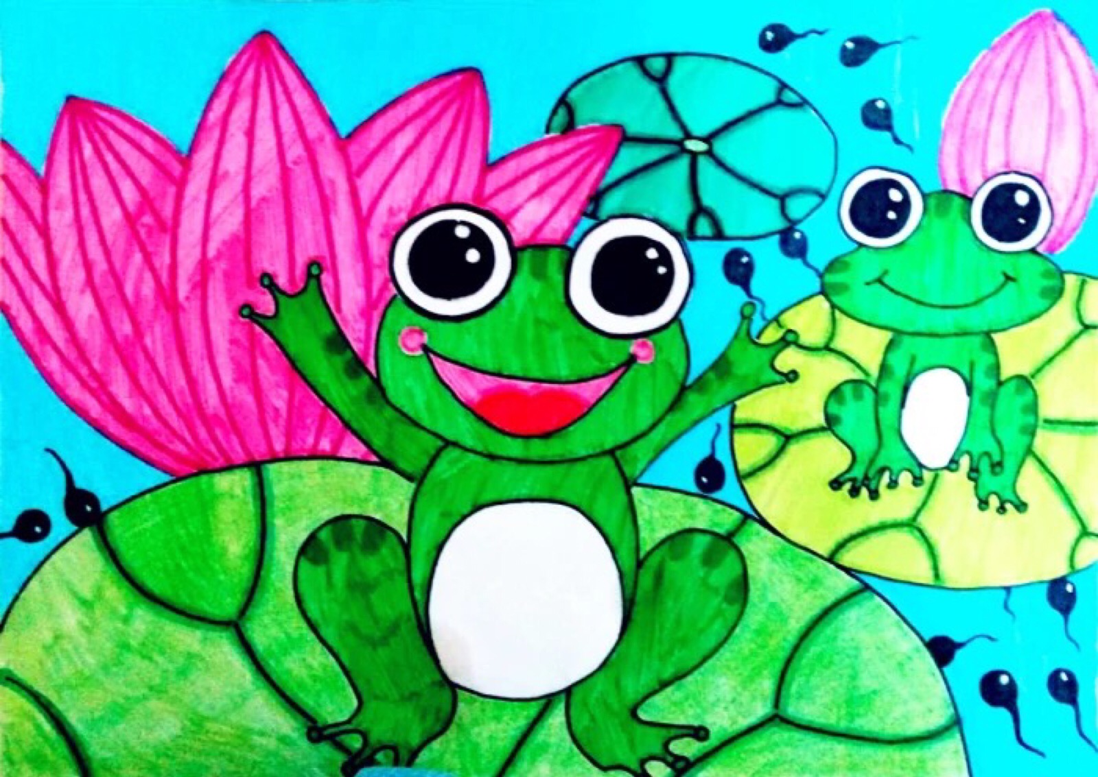 青蛙壁纸动漫图片