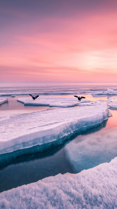 华为20 - 堆糖,美图壁纸兴趣社区