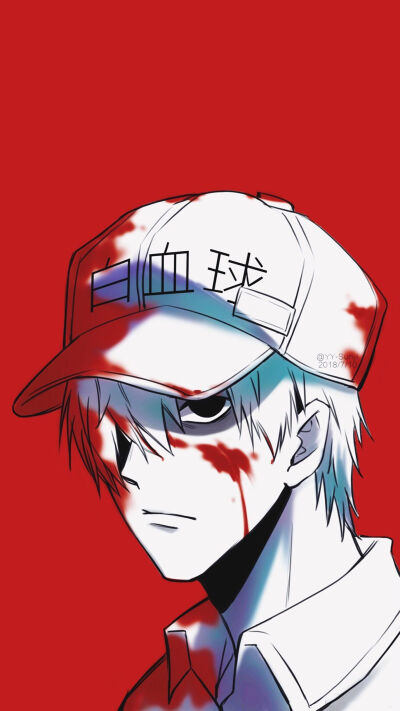 二次元工作细胞白血球