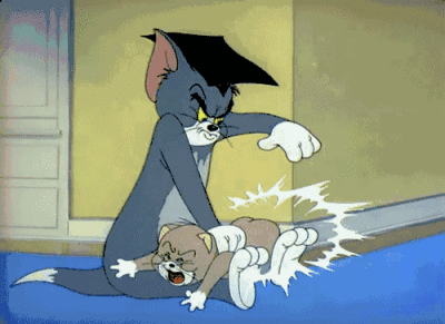 猫和老鼠
