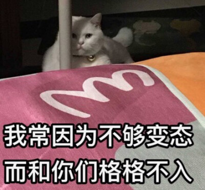 表情包[我常因为不够变态