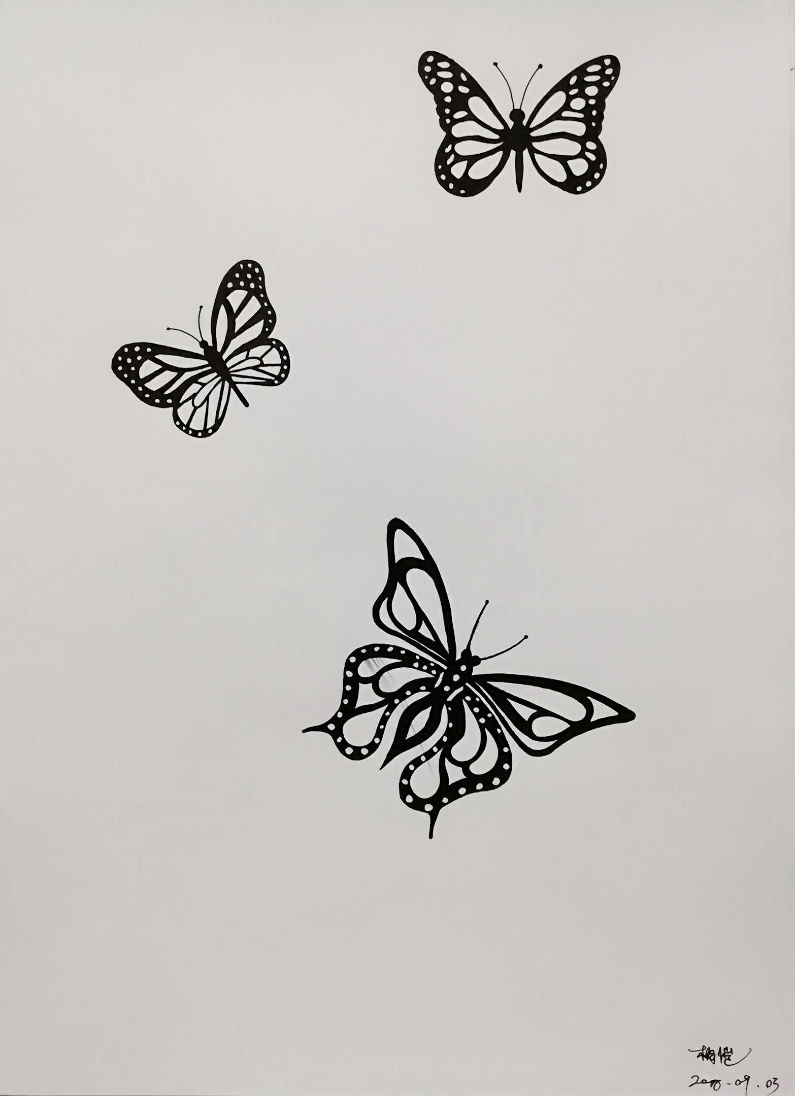 蝴蝶线条画作品图片图片