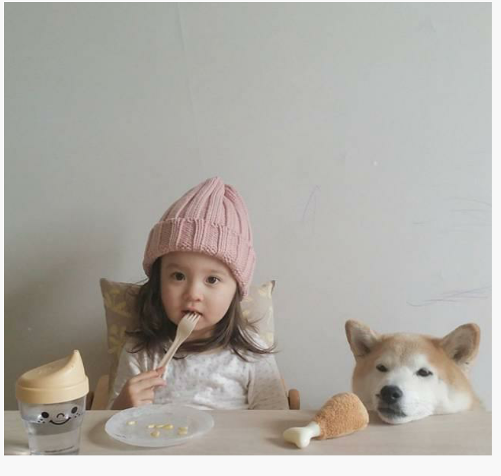 小女孩和柴犬情侣头像图片
