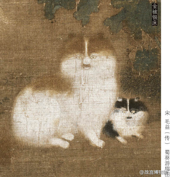 《相猫经》上记载:"黄身白肚者,名金被银床.