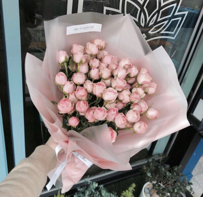 枯萎的粉色玫瑰花