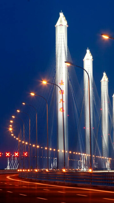 嘉绍大桥夜景图片图片