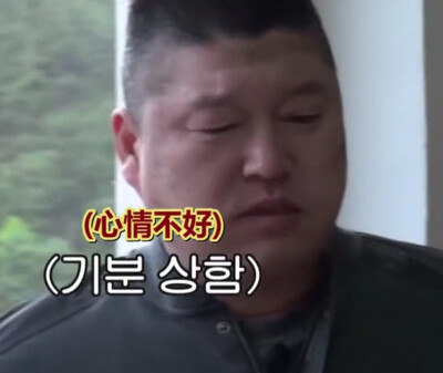 虎东表情包