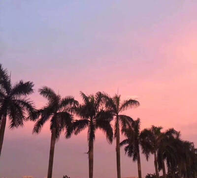 清新#可爱#仙气#意境#粉色#天空#背景喜欢点赞 收藏图源微博