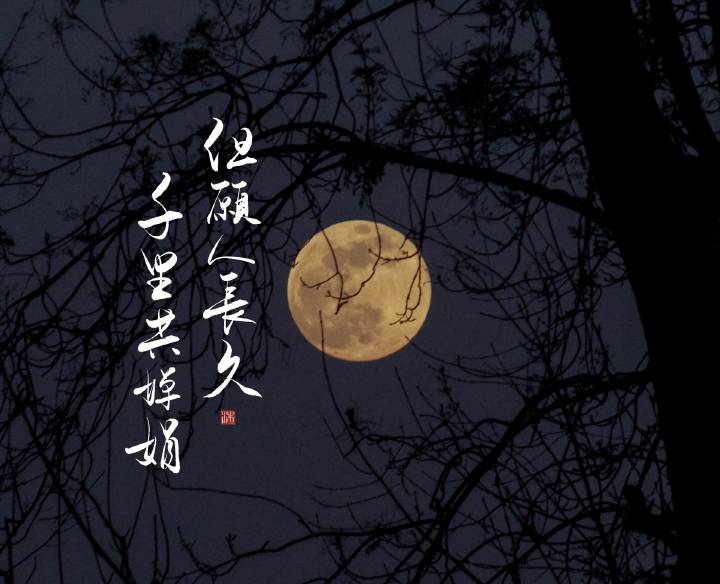 但愿人长久,千里共婵娟.