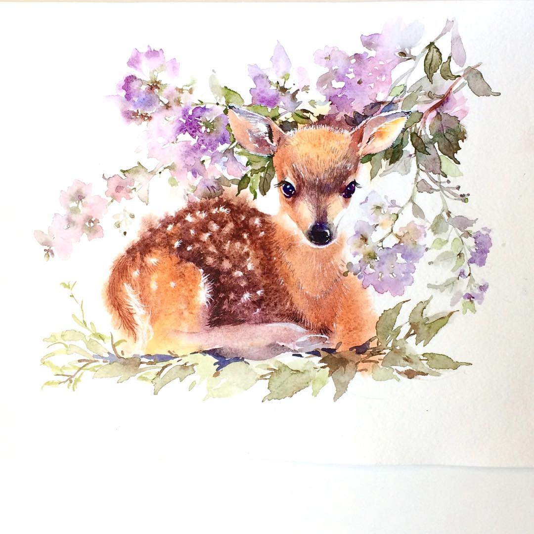 水彩 动物绘画 插画 作者ins@ ignmv