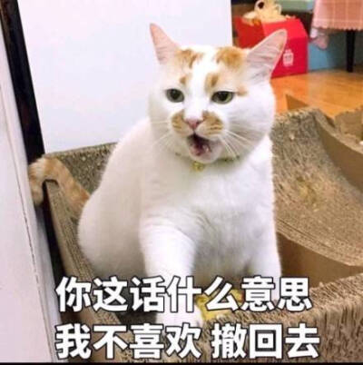撤回 表情包