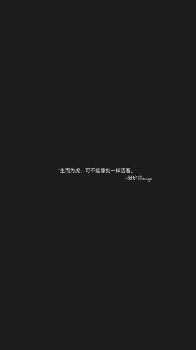 闵玧其语录