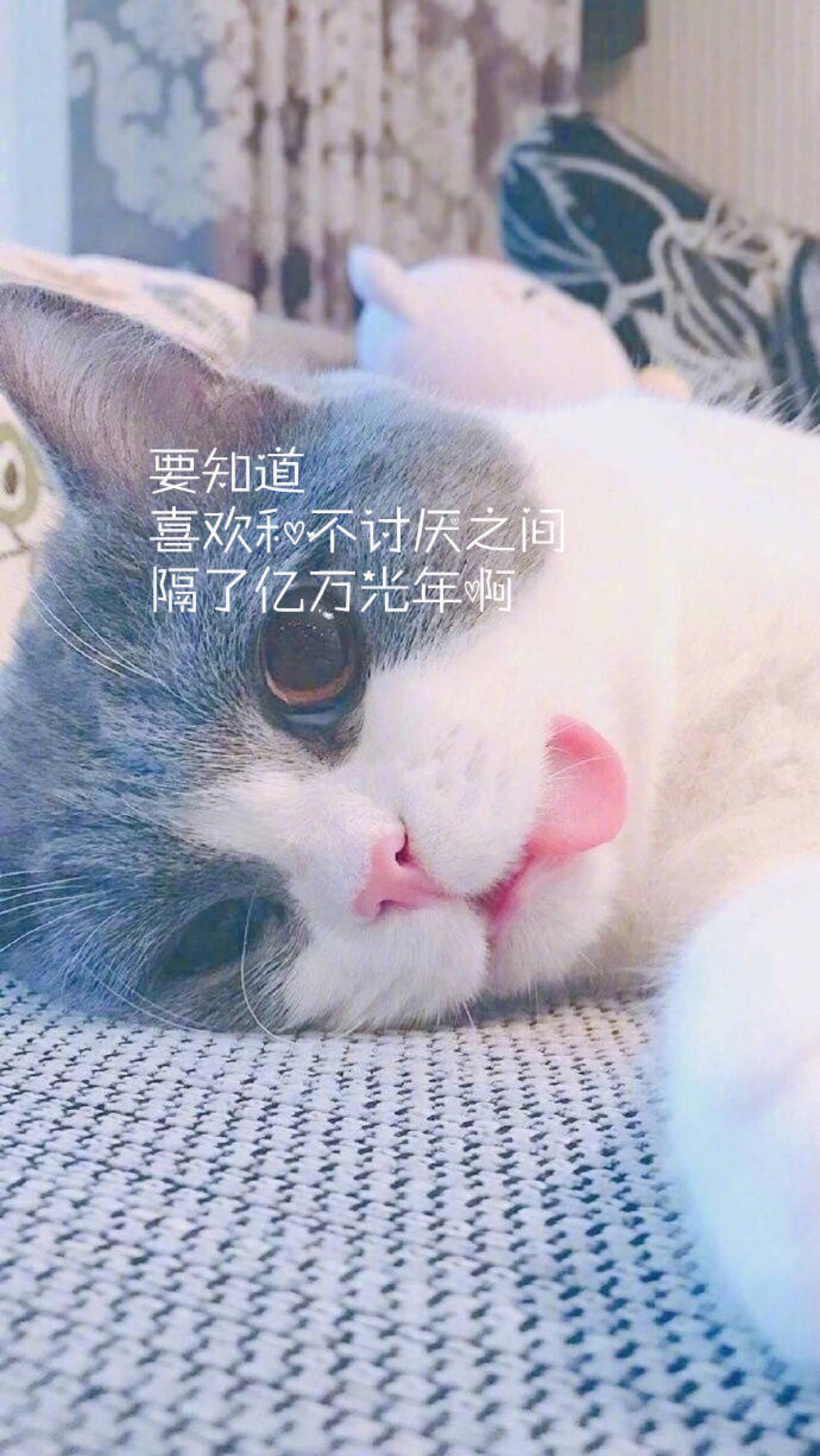 语录