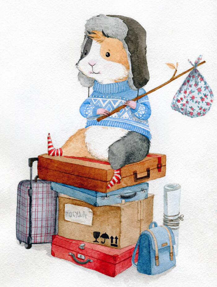 小动物们温馨暖萌的日常生活 ~ 清新水彩插画 画师bogdanova daria