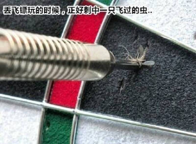搞笑的巧合图片