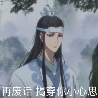 魔道祖师沙雕图合集图片