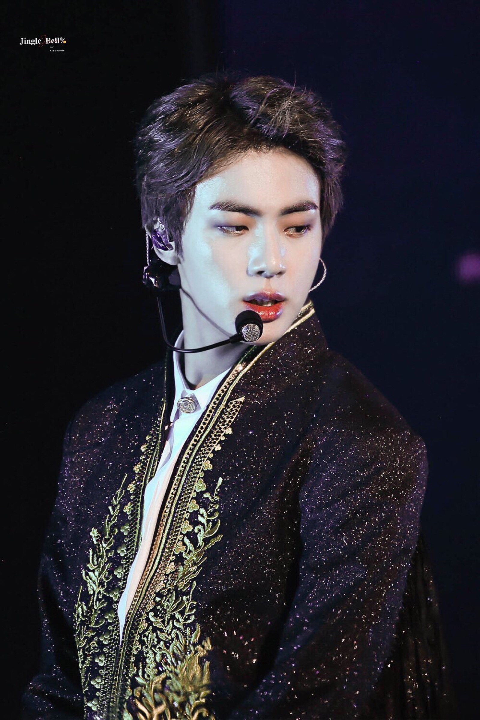 金硕珍 jin 防弹少年团2018演唱会 cr.logo