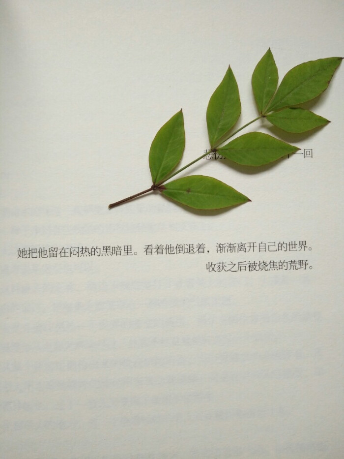 执着于快乐. - 堆糖,美图壁纸兴趣社区