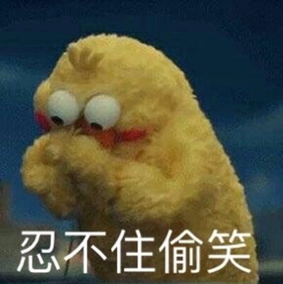 表情鹦鹉兄弟