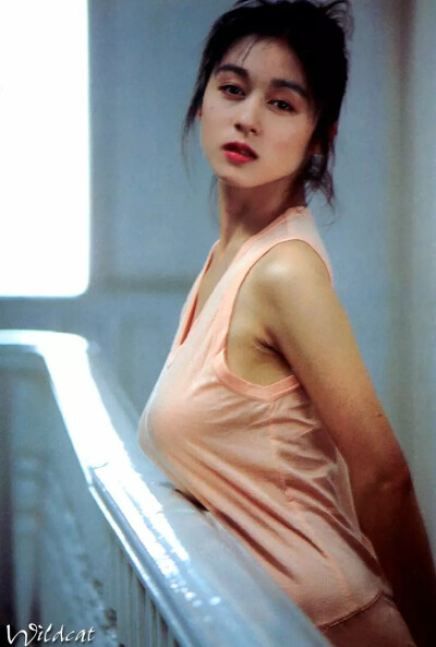 青山知可子壁纸