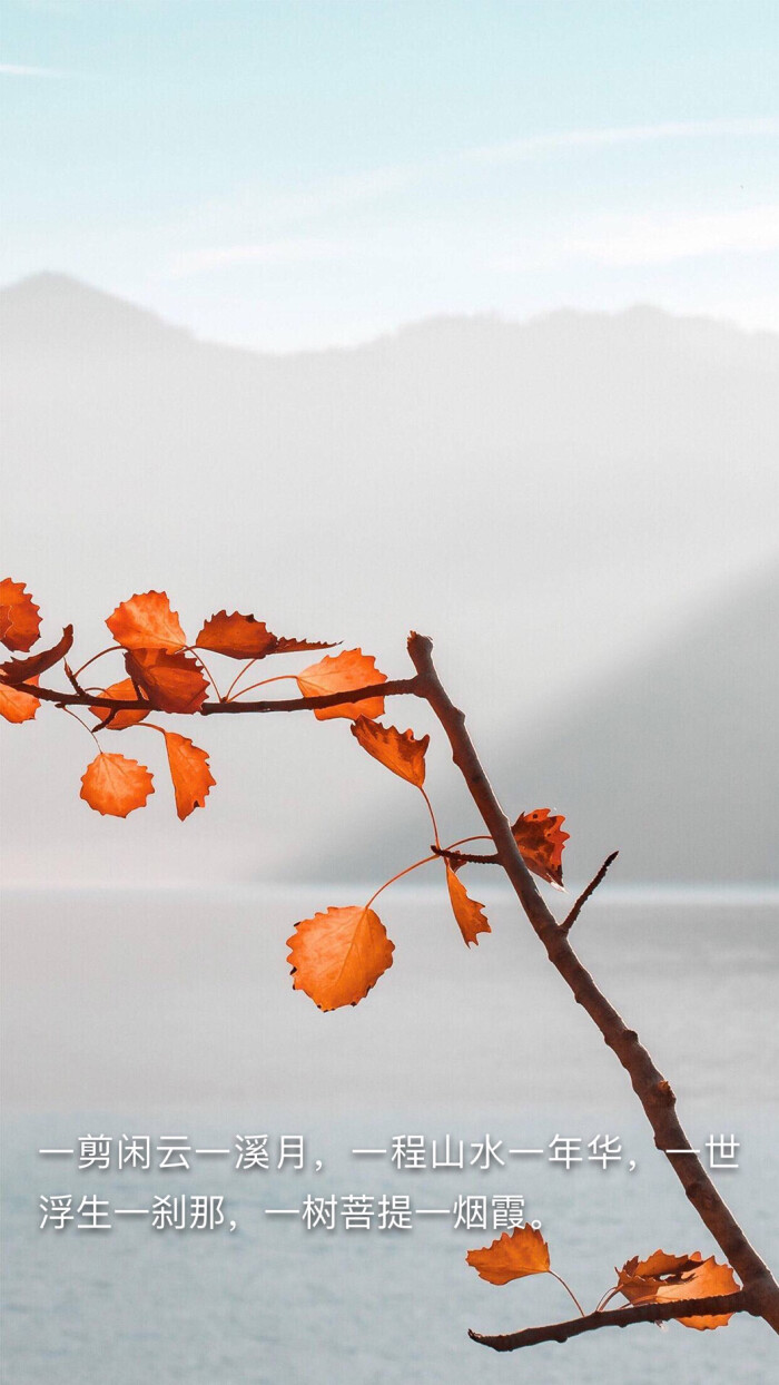 有一种人,他曾经经历过苦难,然后慢慢走了出来,那么成熟就是生活对他