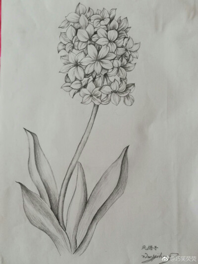 铅笔画