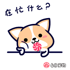 68宠物app微信qq搞笑萌宠物动态表情:在忙什么?