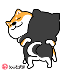 68宠物app微信qq搞笑萌宠物动态表情:拥抱