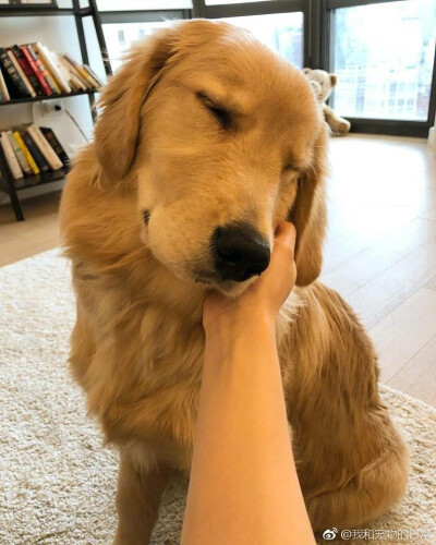 全脸有吗