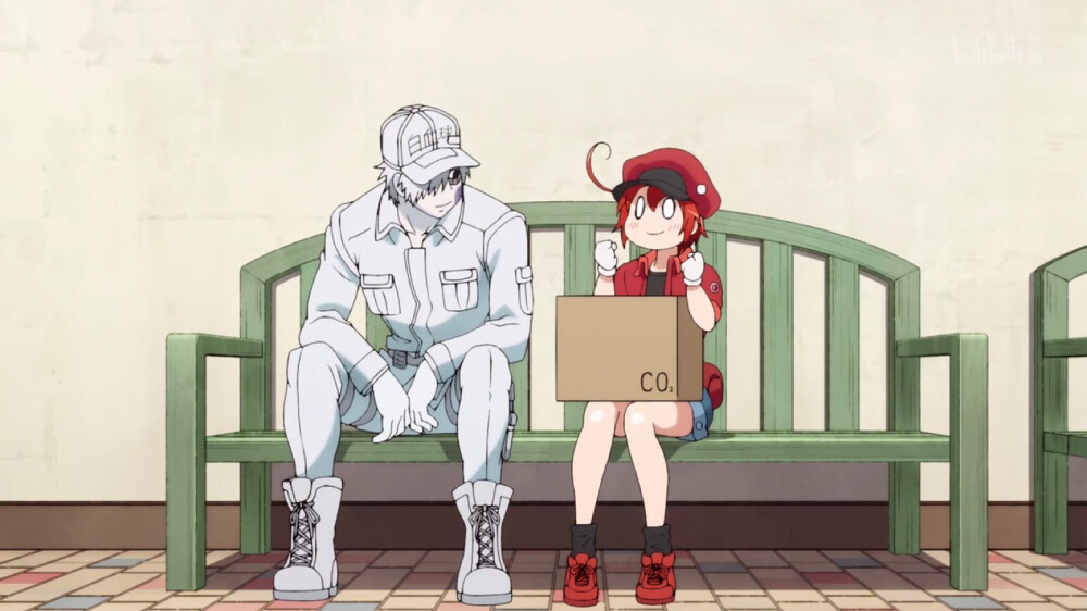 工作细胞白赤血小板