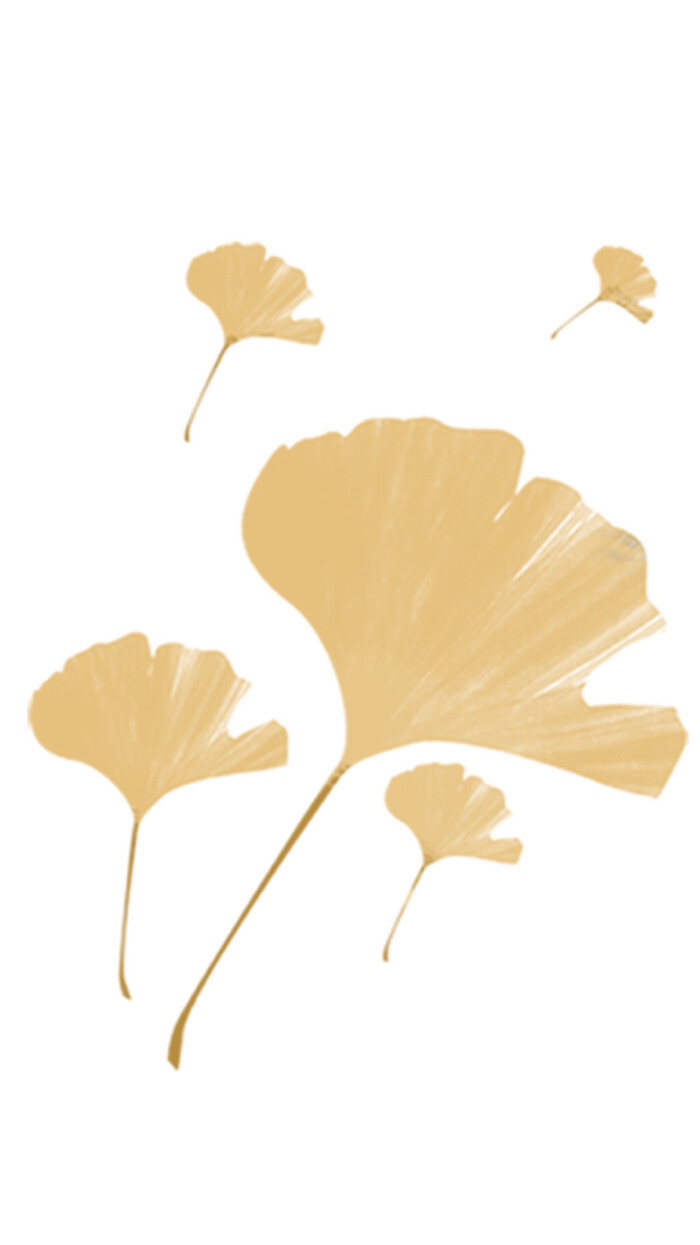 叶子,leaf