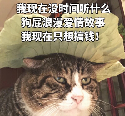 狗屁爱情表情包图片