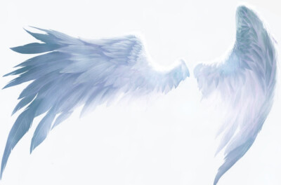 羽翼- 堆糖,美图壁纸兴趣社区