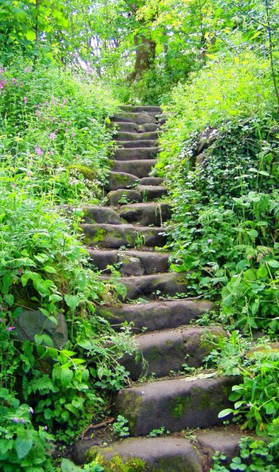 远上寒山石径斜白云深处有人家