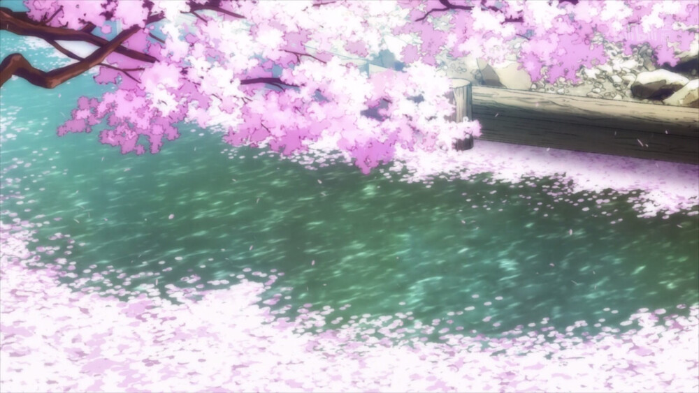 自截 樱花 烟花 风景