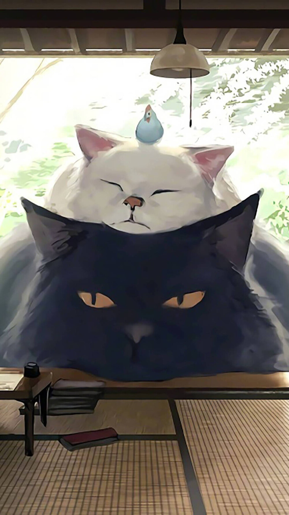 壁纸动漫大猫もの久保