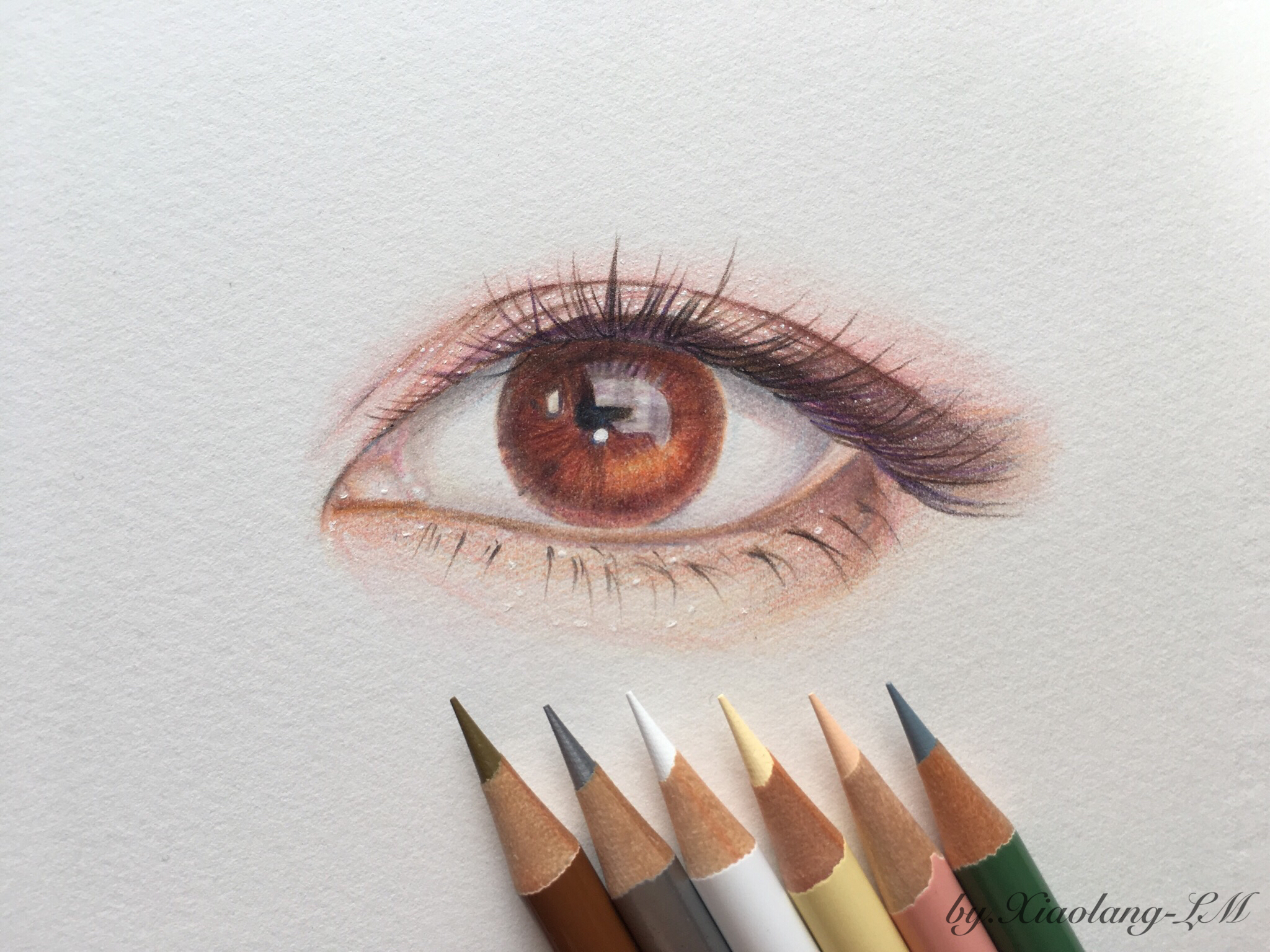 彩铅眼睛系列 (作者: 小狼-lm )