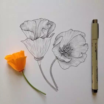 线描 儿童画 创意 装饰画 水彩笔 彩色 黑白 花瓶 写生 速写 花卉