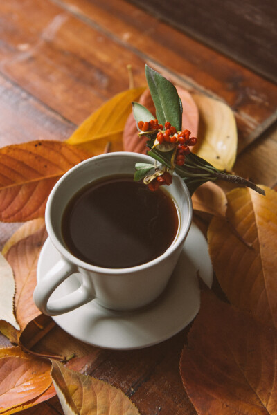 一杯咖啡暖手暖心秋日里的小小温暖