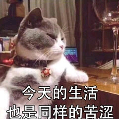 表情包