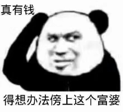 nice表情包