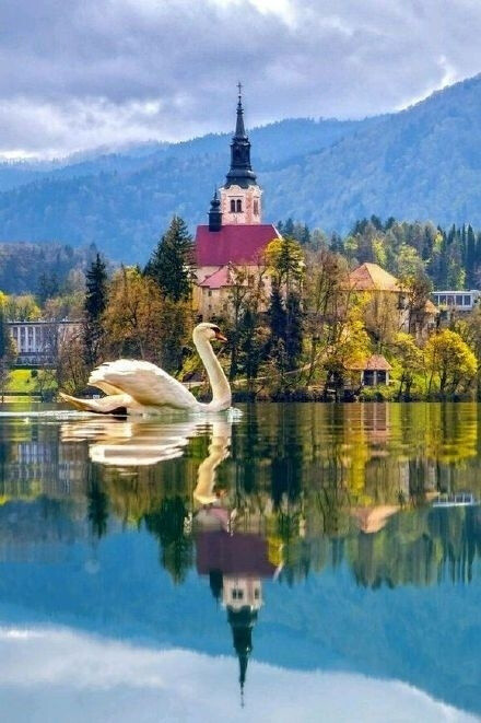 布莱德湖,全世界最美的湖泊之一,"三头山"顶部积雪的融水不断注入湖中