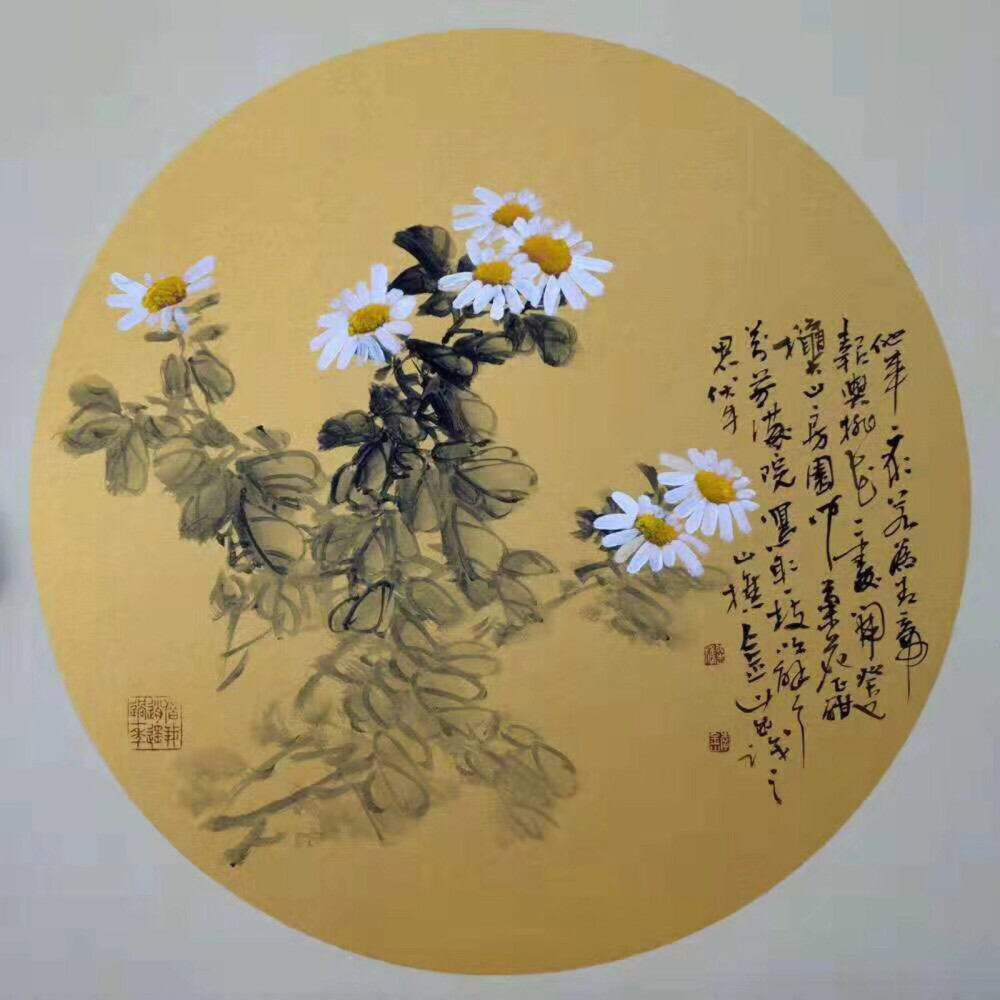 小雏菊